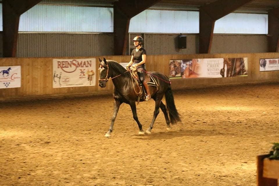 Pauline Preston i arbejde med en hest